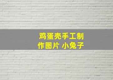 鸡蛋壳手工制作图片 小兔子